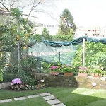 Mignon Meuble Hotel 3*